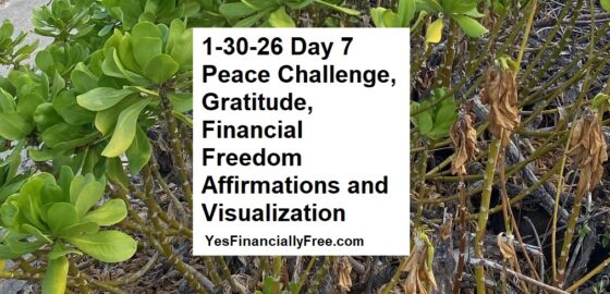 1-30-26 Day 7 Peace Challenge, Gratitude, Financial Freedom Affirmations and Visualization